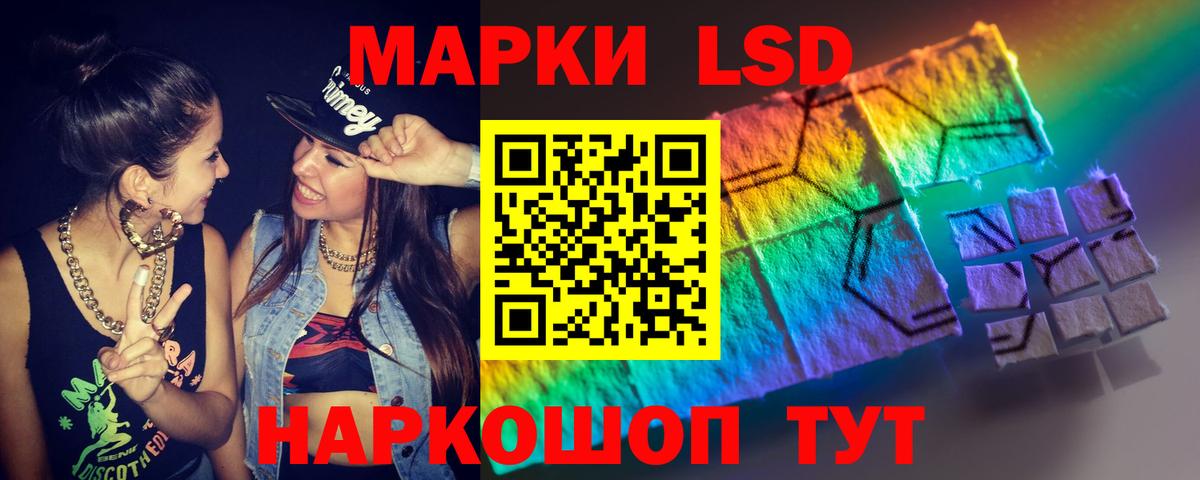 Бердск  ЛСД экстази кислота  Вход с VPN  Лсд 25 экстази  Лсд 25 экстази кислота 