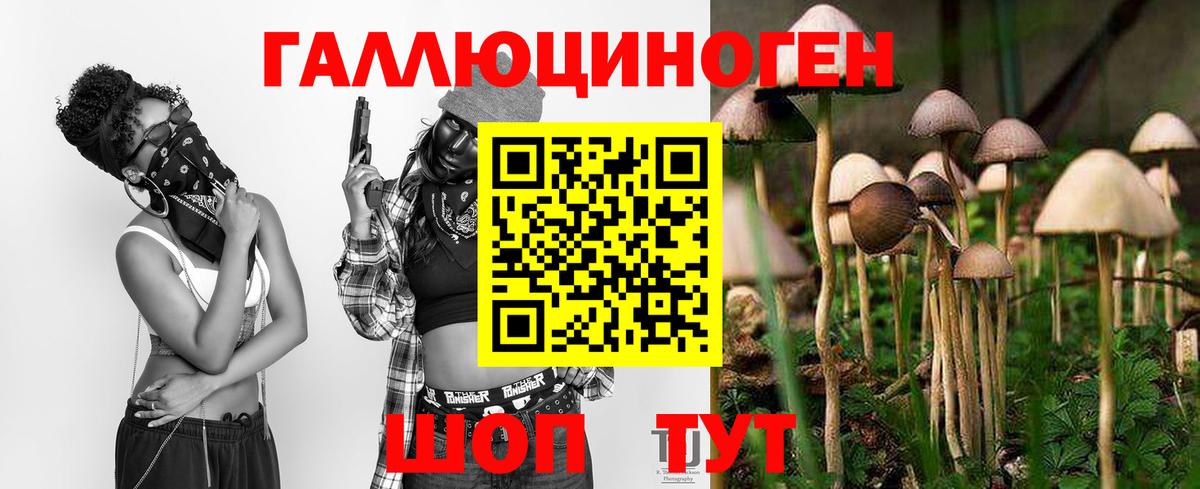 Галлюциногенные грибы ЛСД  Псилоцибиновые грибы GOLDEN TEACHER  Вход с VPN  Бердск 